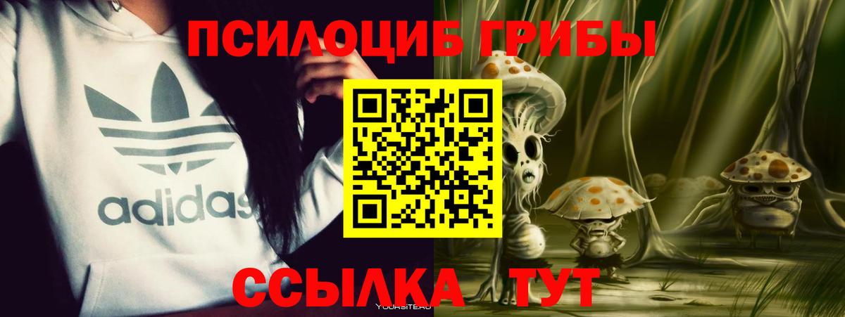 Псилоцибиновые грибы прущие грибы  Вход с VPN  Воронеж 